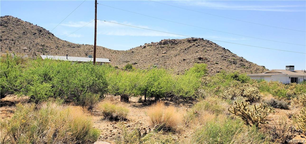 Golden Valley, AZ 86413,00 Cactus DR