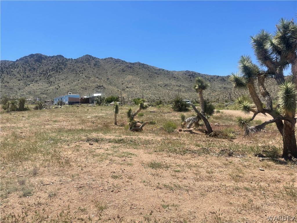 Dolan Springs, AZ 86441,000 NOLAN DR