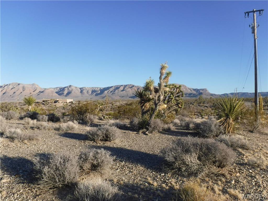 Meadview, AZ 86444,28250 N Mullane DR