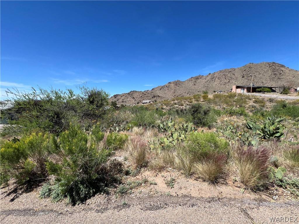 Golden Valley, AZ 86413,LOT 50 W SMITH DR