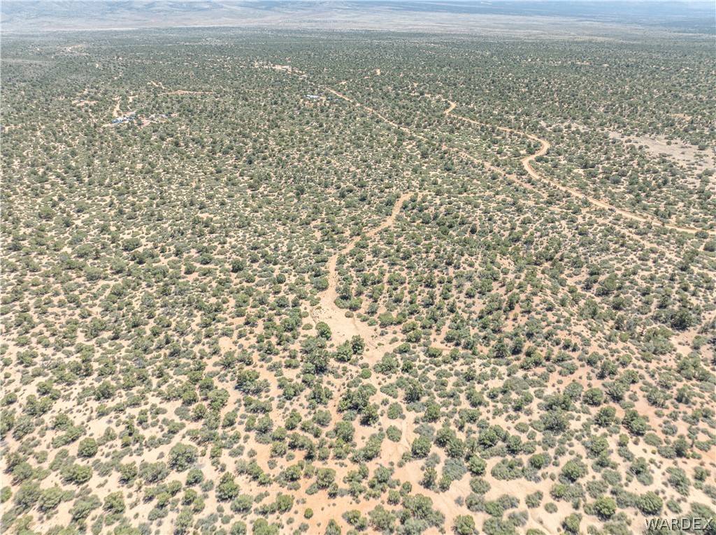 Hackberry, AZ 86411,0 Green Tree