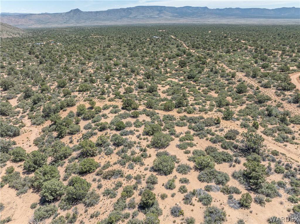 Hackberry, AZ 86411,0 Green Tree