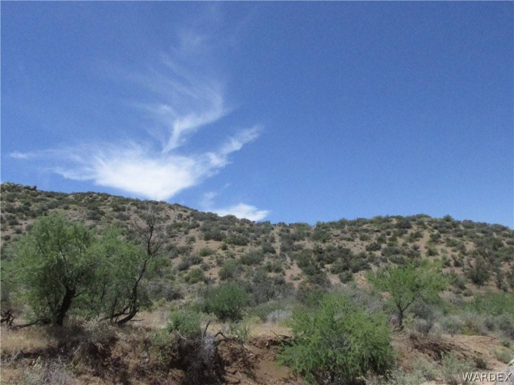 Wikieup, AZ 85360,0 Oxen PASS