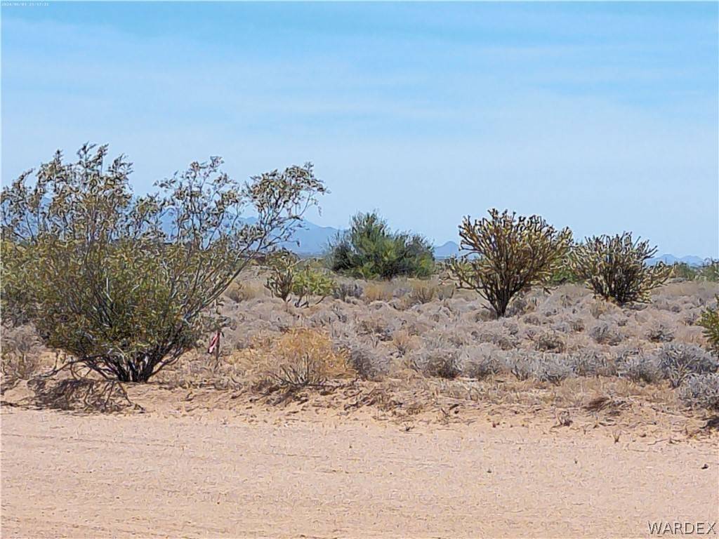 Golden Valley, AZ 86413,Lot B4 W Bolsa DR