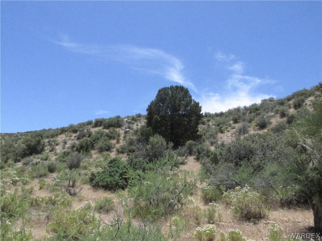 Wikieup, AZ 85360,0 Oxen PASS