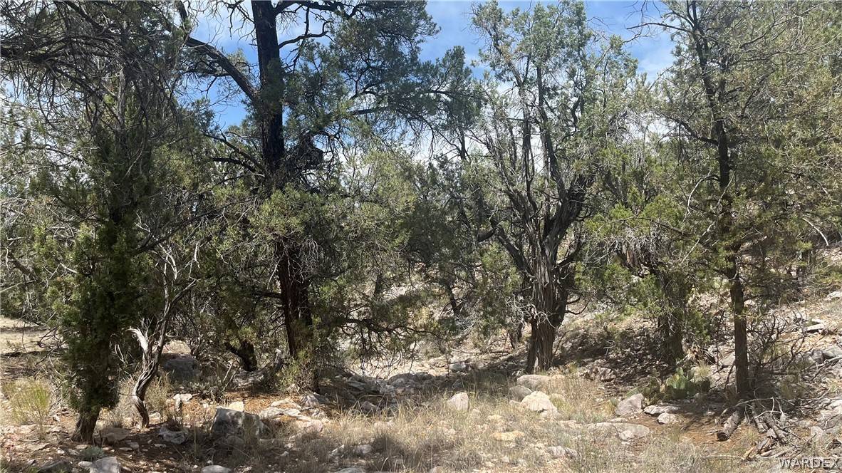 Peach Springs, AZ 86434,Lot 1 Unknown