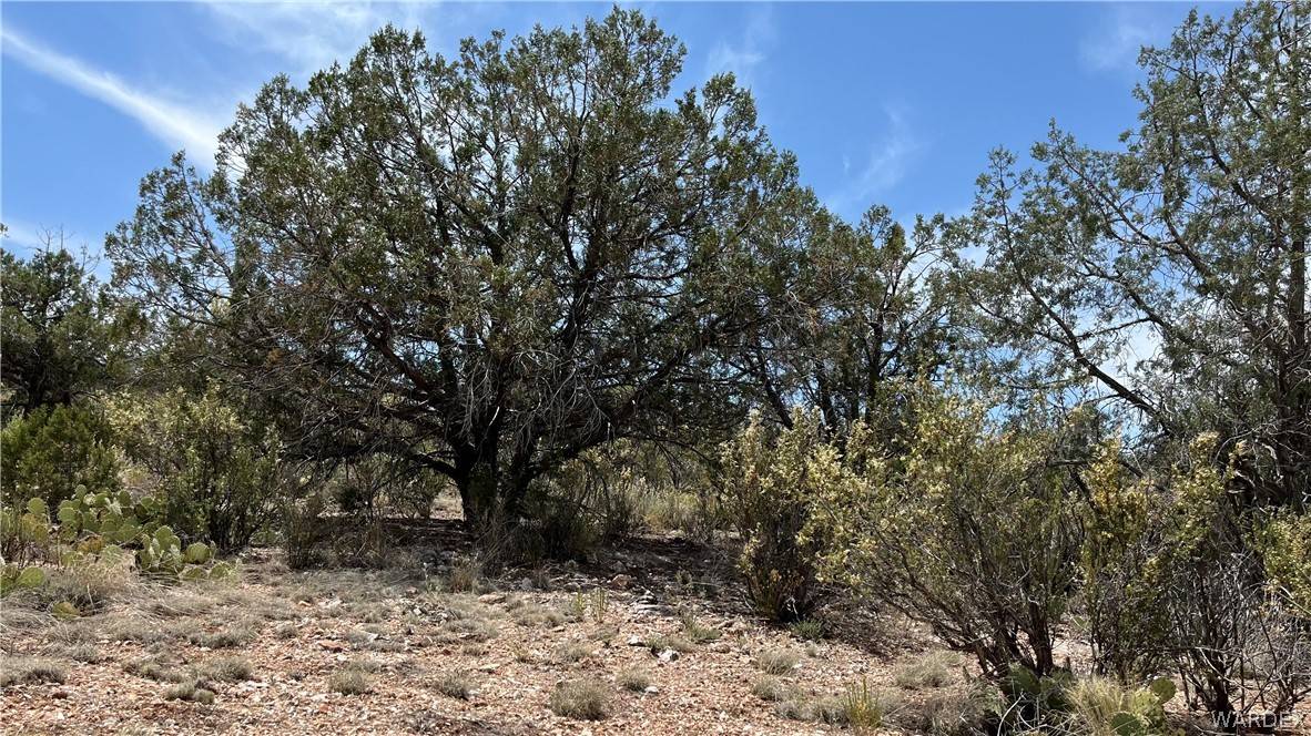 Peach Springs, AZ 86434,Lot 1 Unknown