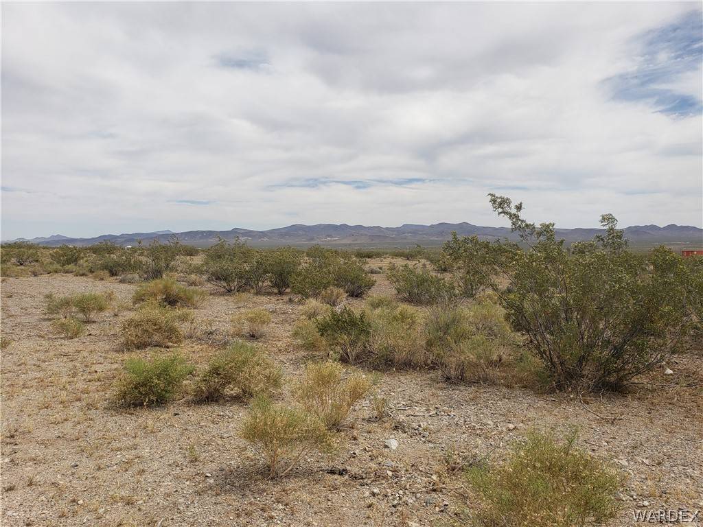 Dolan Springs, AZ 86441,0000 JERRY RD