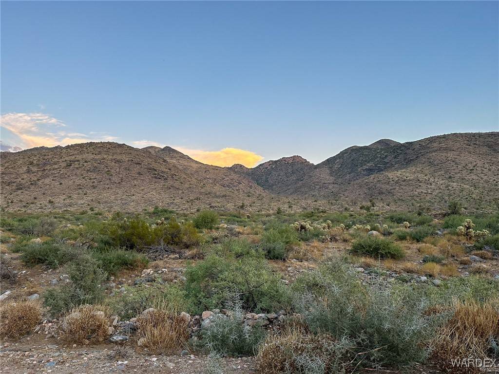 Yucca, AZ 86438,- -