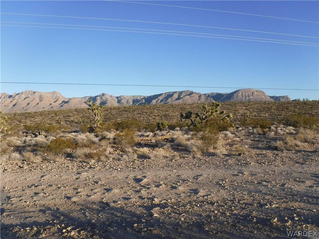 Meadview, AZ 86444,28375 N Sandy Point DR