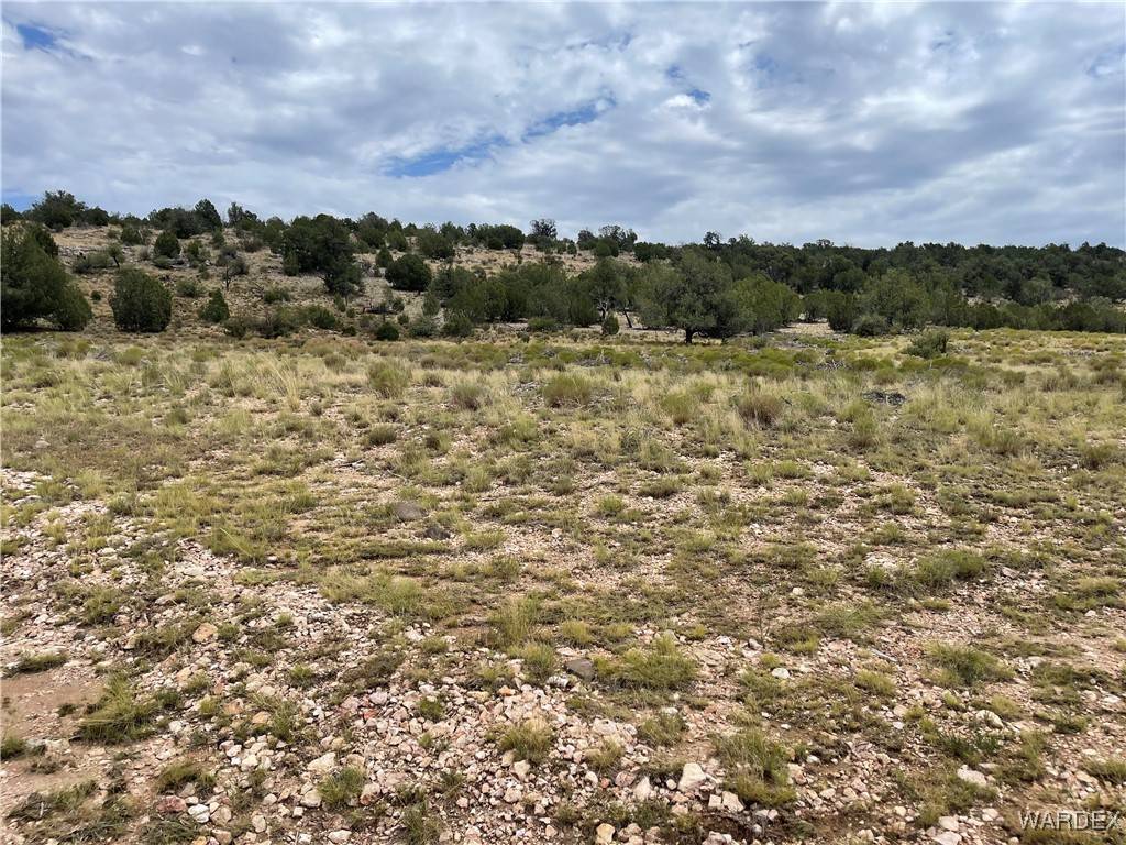 Seligman, AZ 86337,Parcel# 301-17-001M