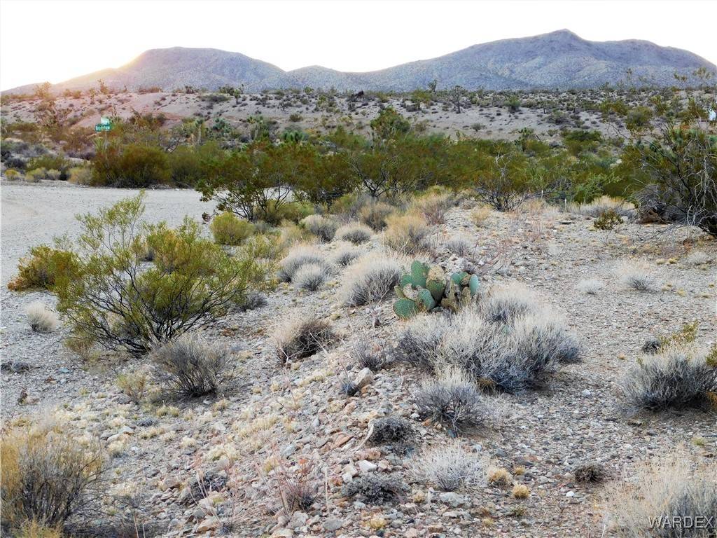 Meadview, AZ 86444,855 W Parkview DR