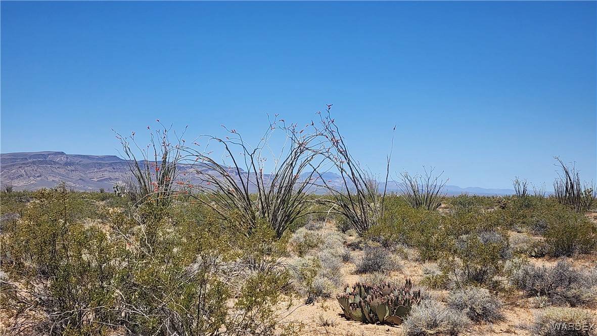 Yucca, AZ 86438,Lot 198 S Cortaro RD