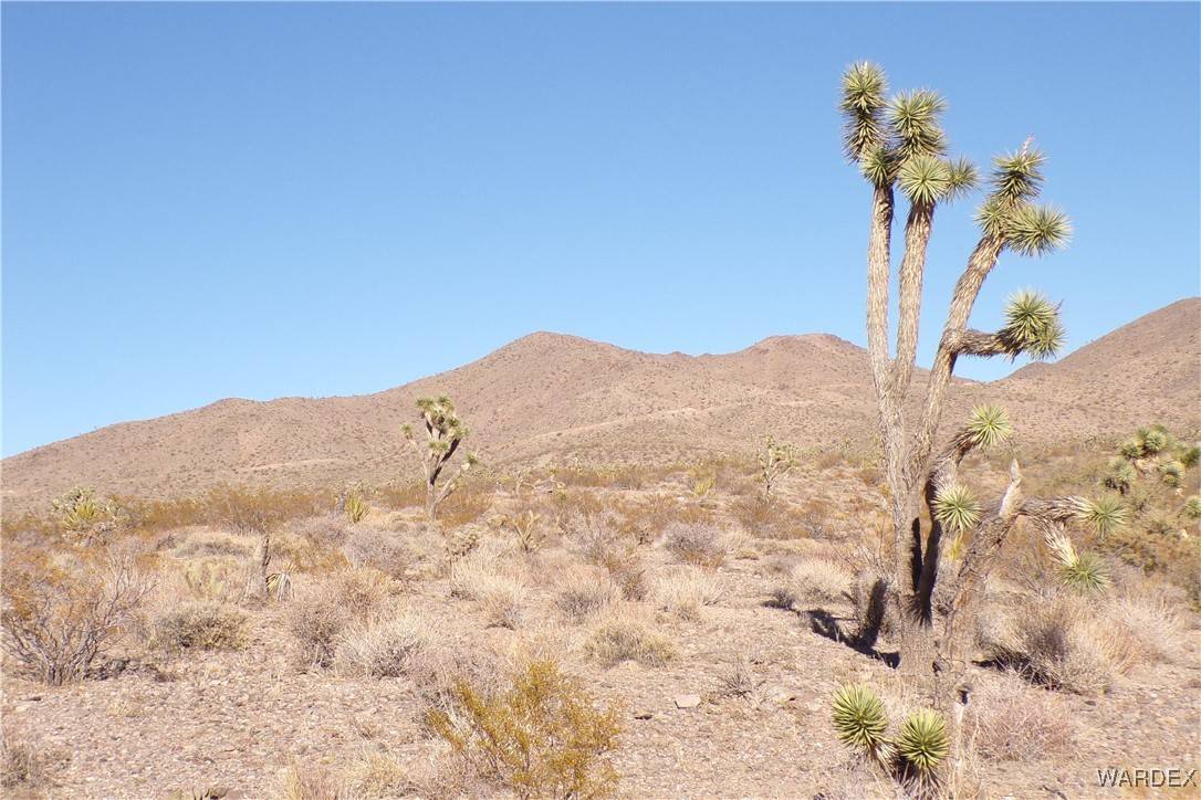 White Hills, AZ 86445,Lot 490 Escondido AVE