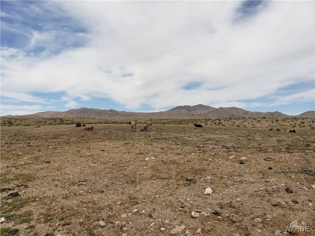 Dolan Springs, AZ 86441,10 ACRES N JOSEPH RD