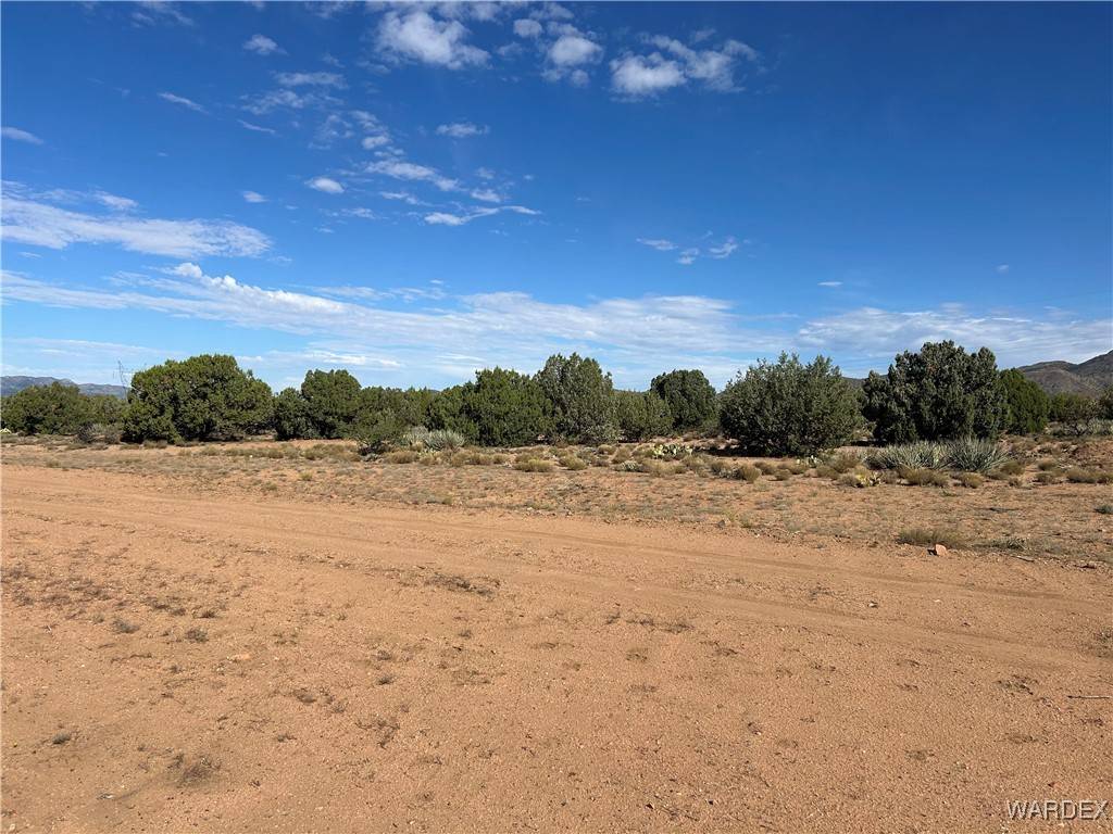 Hackberry, AZ 86411,0000 Tyree