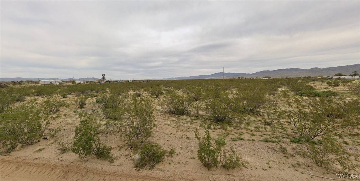 Golden Valley, AZ 86413,Lot 8 W 1/2 Burro