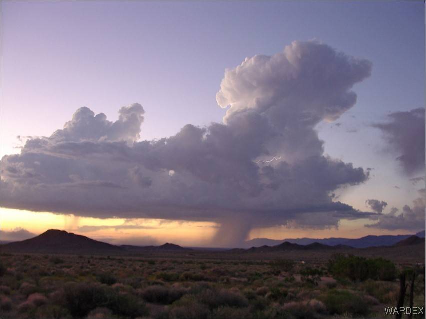 Kingman, AZ 86401,10210 N Boulder RD