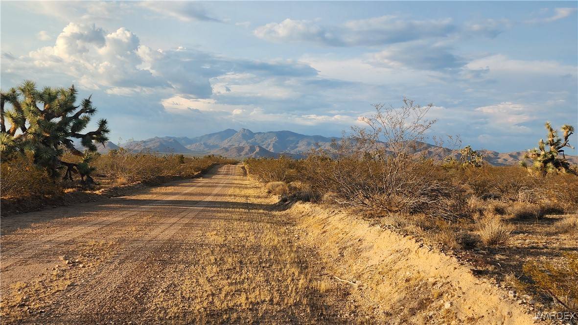 Yucca, AZ 86438,2204 S Six Shooter RD