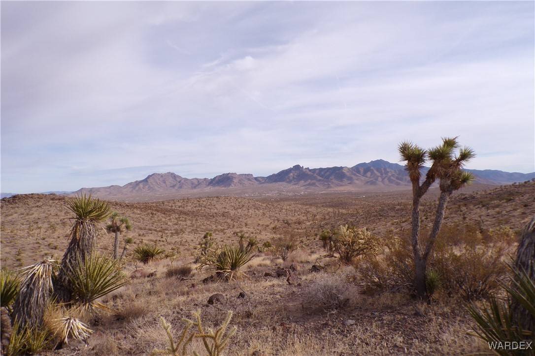 Dolan Springs, AZ 86441,Lot 72 W 20th ST