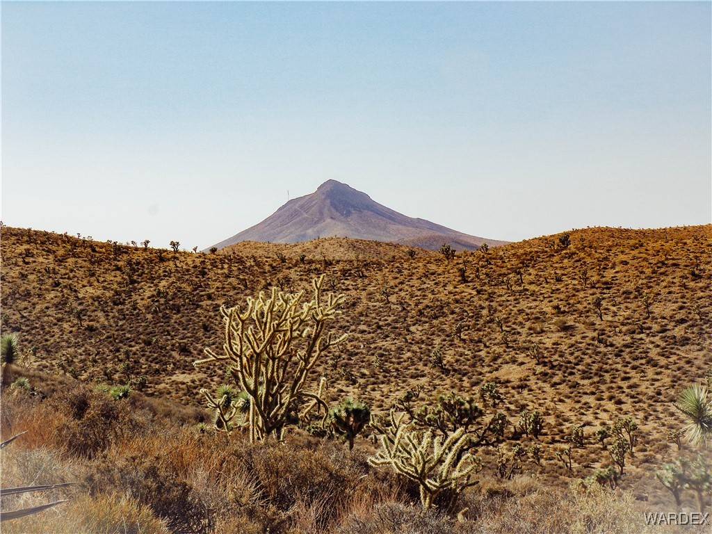 White Hills, AZ 86445,TBD N Fry Mine RD