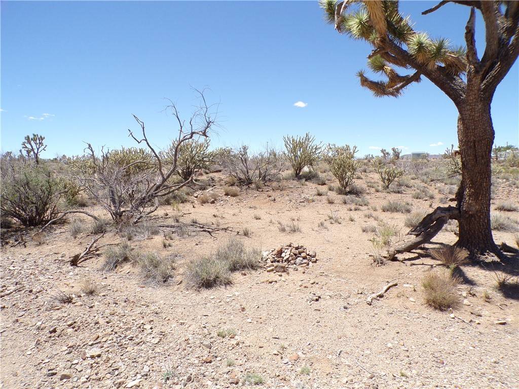 Dolan Springs, AZ 86441,Lot 427 N Remuda DR