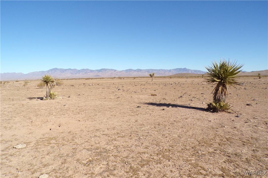 Dolan Springs, AZ 86441,Lot 20 N Jerry RD