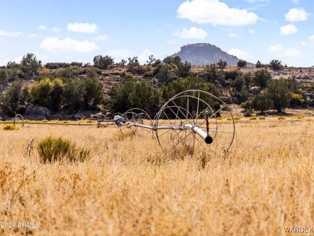 Seligman, AZ 86337,4820 E Perkinsville RD