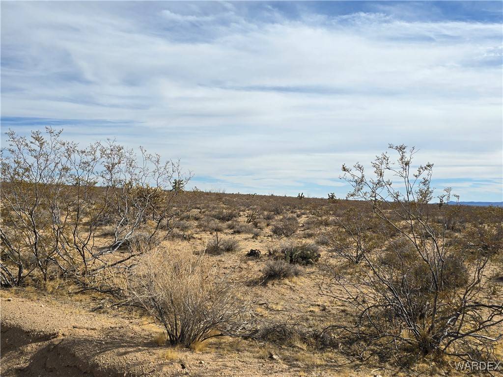 Yucca, AZ 86438,320 Acres W Brittlebush DR