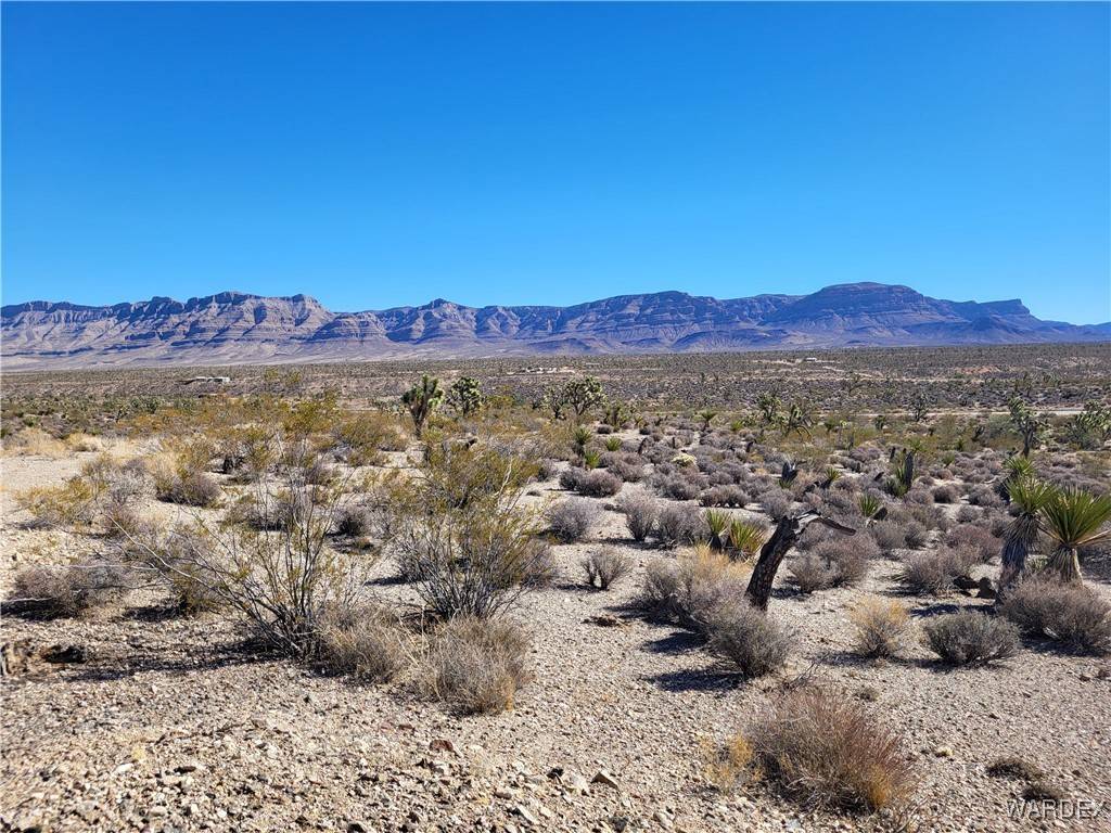 Meadview, AZ 86444,960 W Gopher WAY