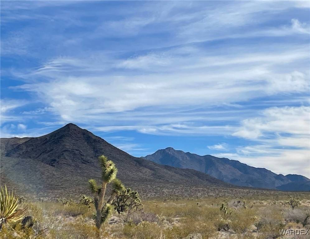 Meadview, AZ 86444,6 lots W Acanthus DR