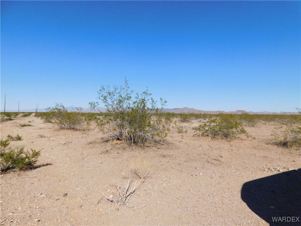 Golden Valley, AZ 86413,Lot 63 W Palomine DR