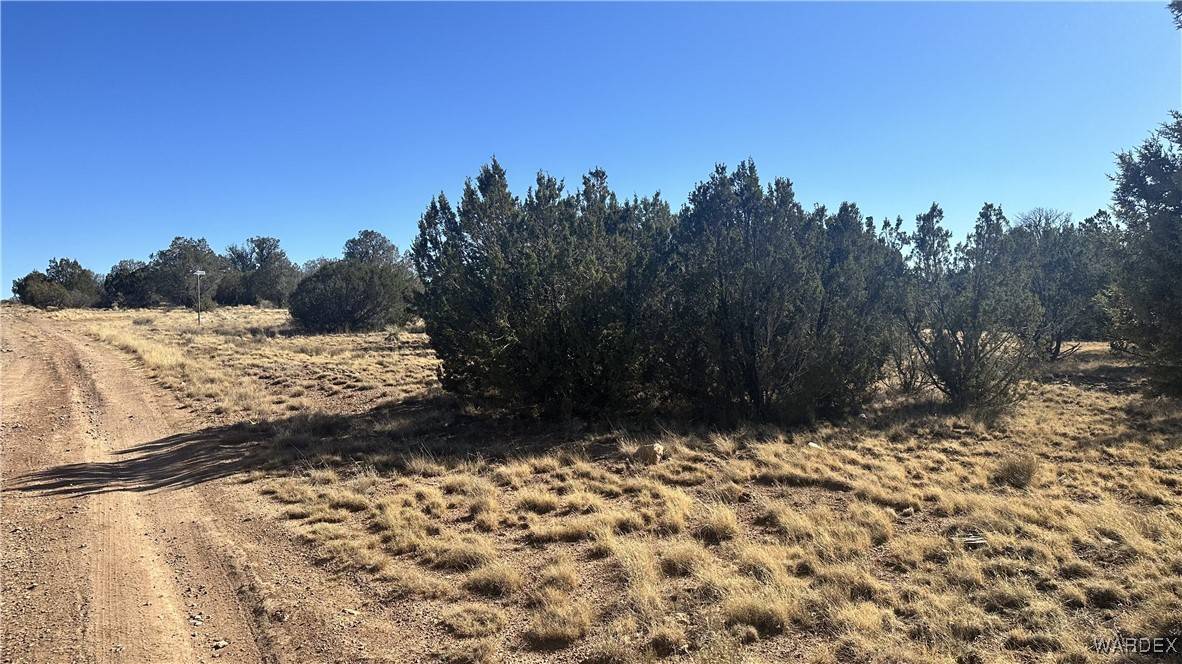 Seligman, AZ 86337,1377 W Sunset DR
