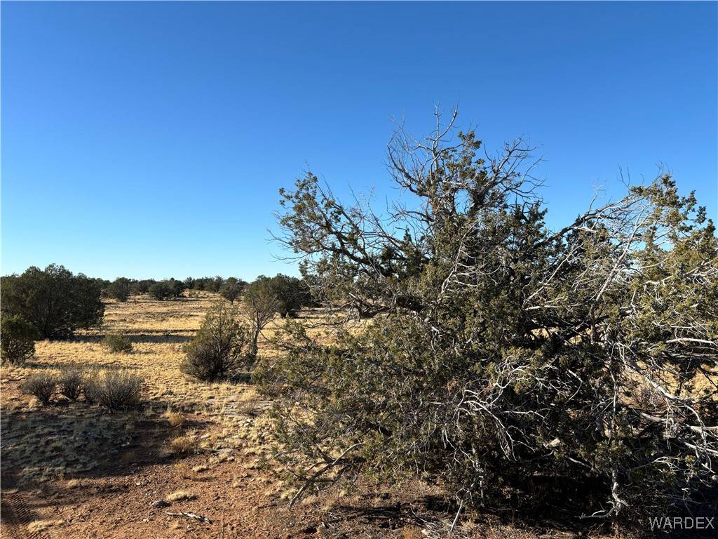Seligman, AZ 86337,070A Denny