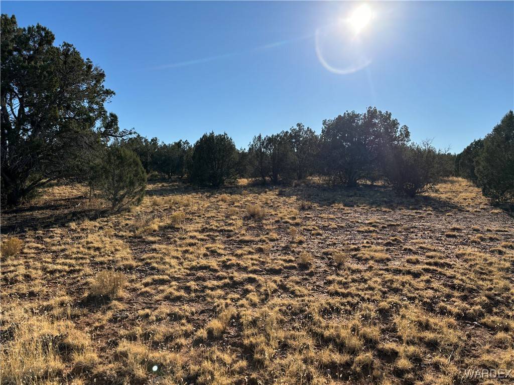 Seligman, AZ 86337,070B Denny