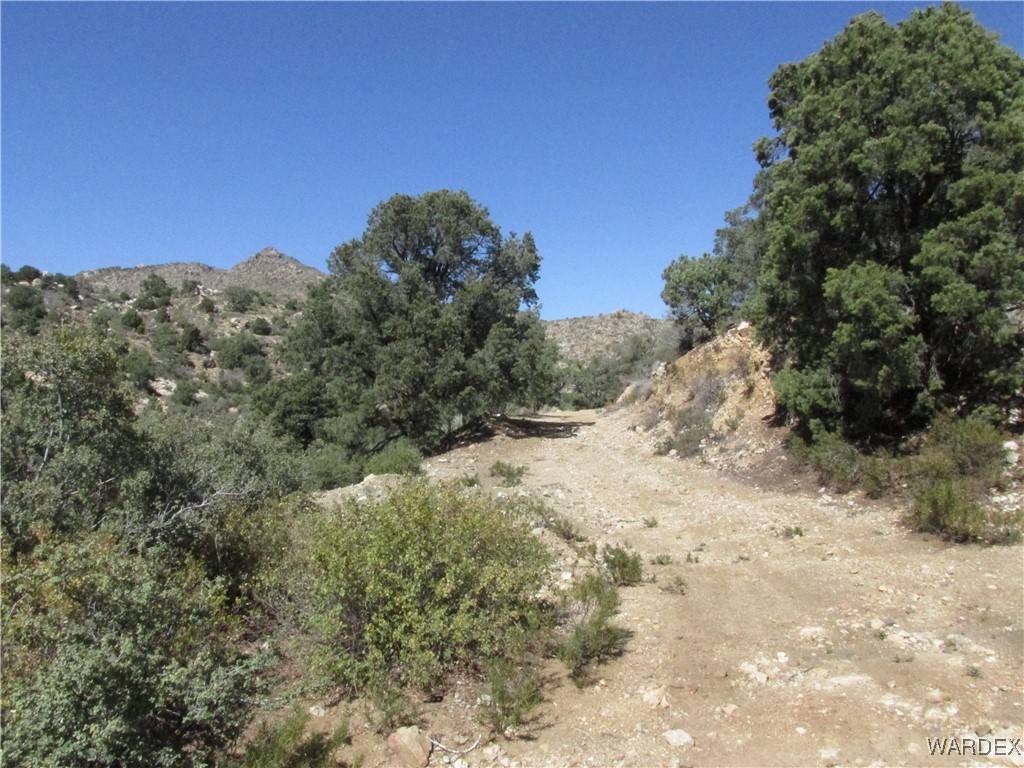 Kingman, AZ 86409,000 WALAPAI MINING RD RD