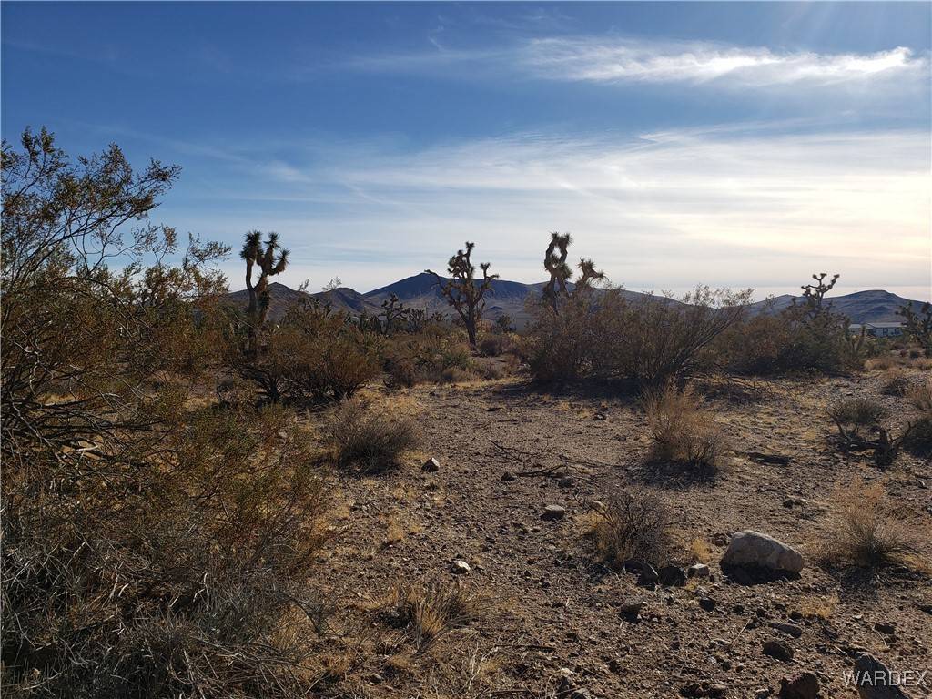 White Hills, AZ 86445,8610 W Mustang DR