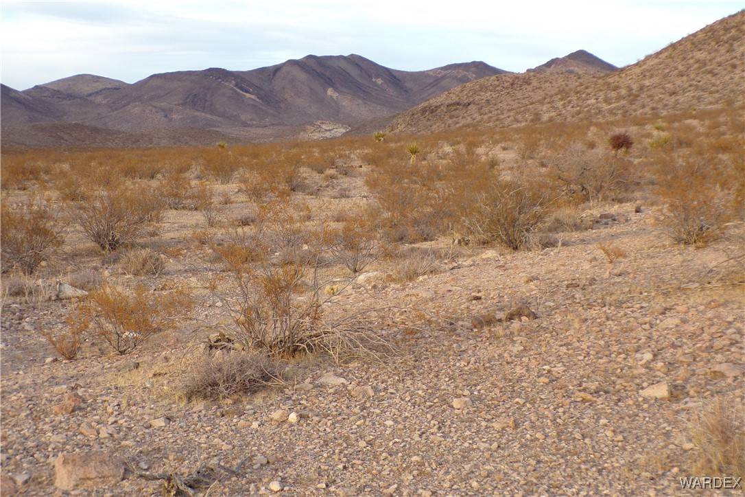 Dolan Springs, AZ 86441,Lot 138 N Bee DR