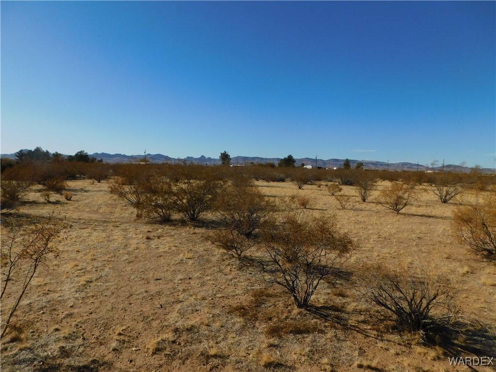 Golden Valley, AZ 86413,0000 N LIGURTA RD