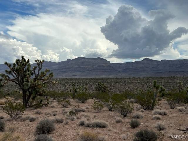 Meadview, AZ 86444,0000 E Rose RD