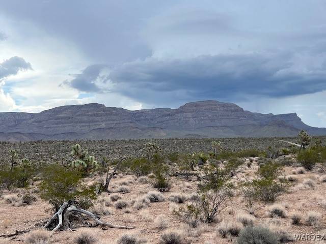 Meadview, AZ 86444,0000 E Rose RD