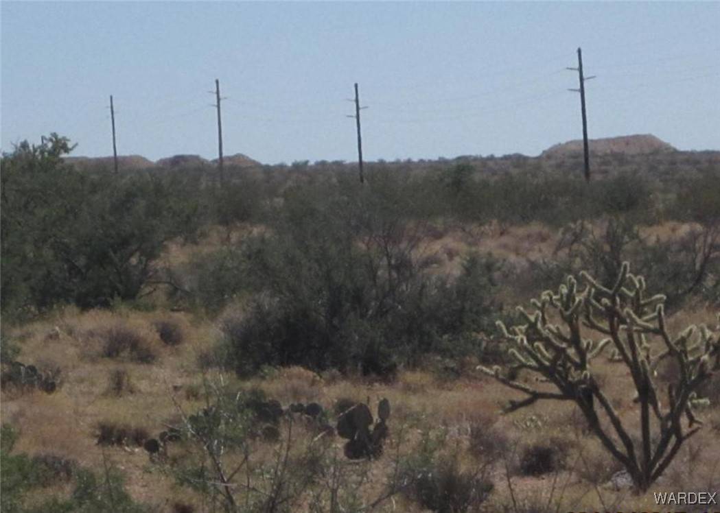 Dolan Springs, AZ 86441,53-57 Western Horizon Estates