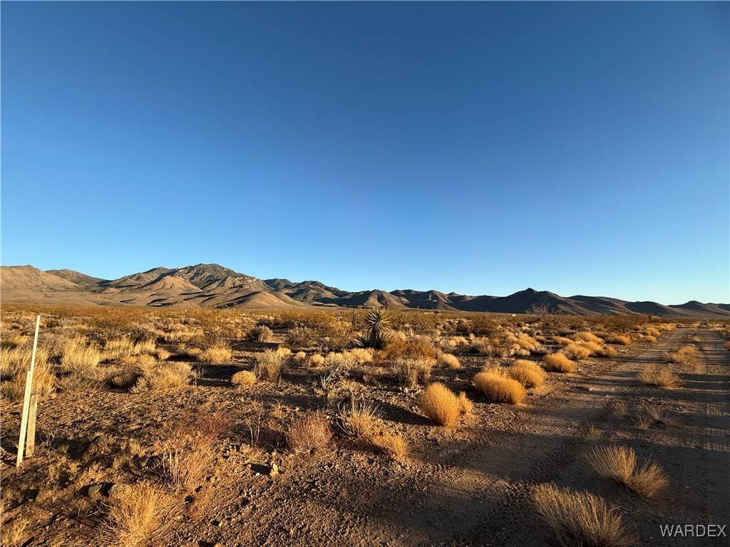 Dolan Springs, AZ 86441,Lot 30 316-16-062 N Joshua DR #346