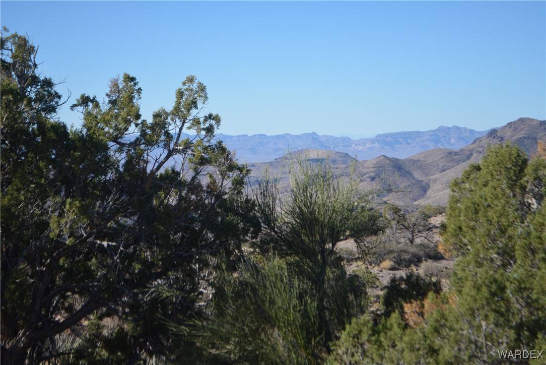 Kingman, AZ 86401,15J Branding Iron LN