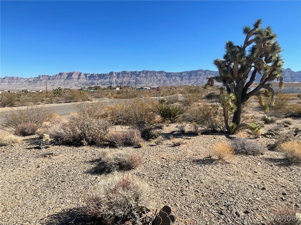 Meadview, AZ 86444,50 E Hualapai Creek DR
