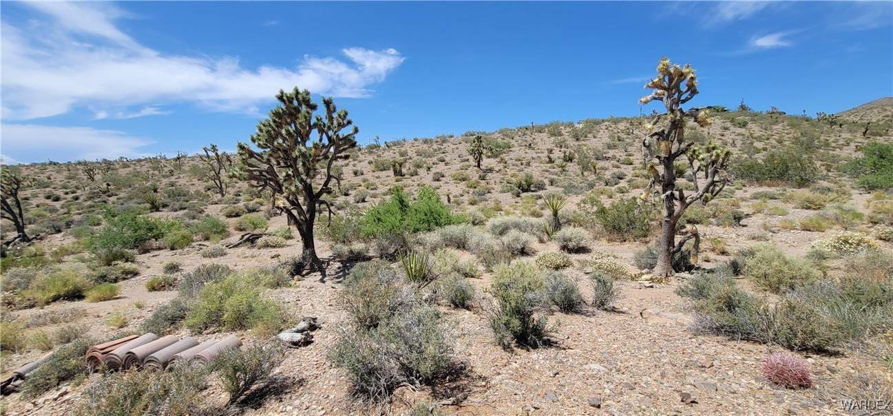 White Hills, AZ 86445,416 Oro DR