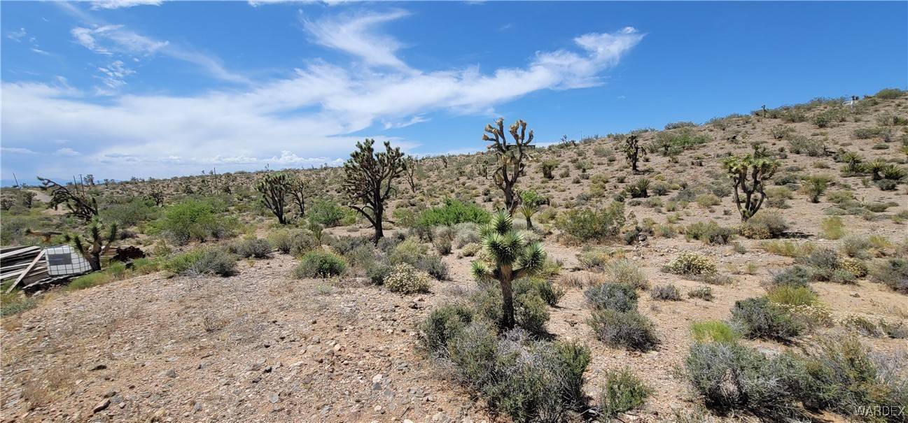 White Hills, AZ 86445,416 Oro DR