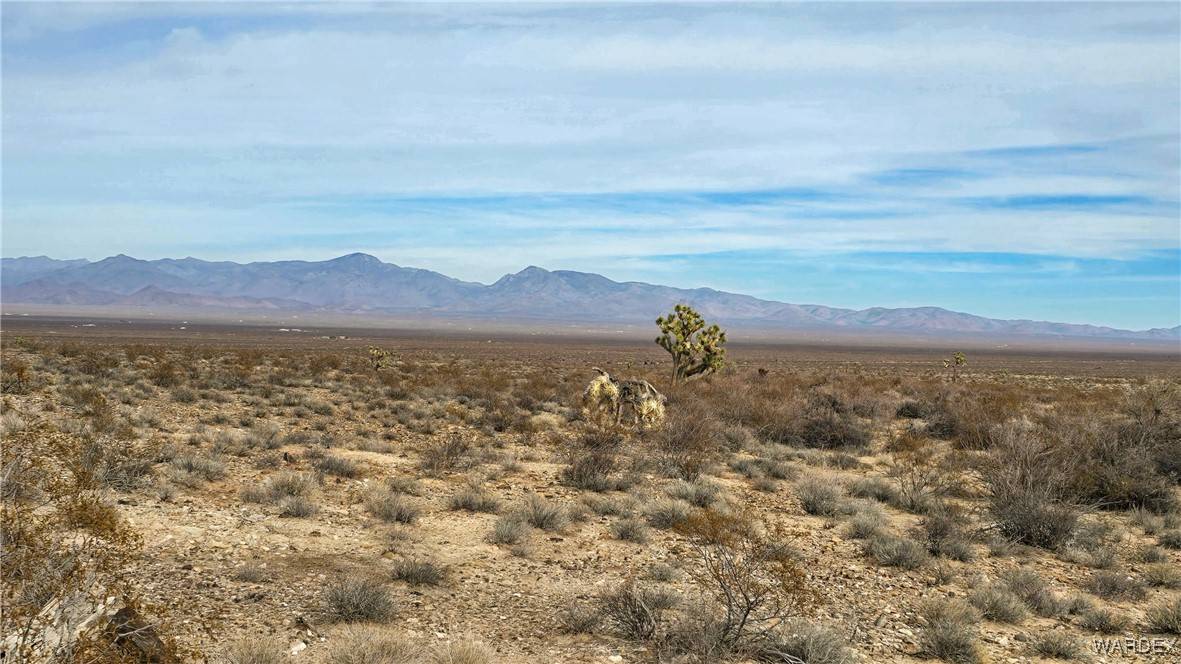 Yucca, AZ 86438,540 S Wild Bill RD