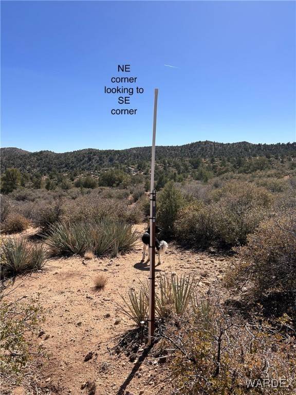 Hackberry, AZ 86411,Lot 065 Pine Valley DR