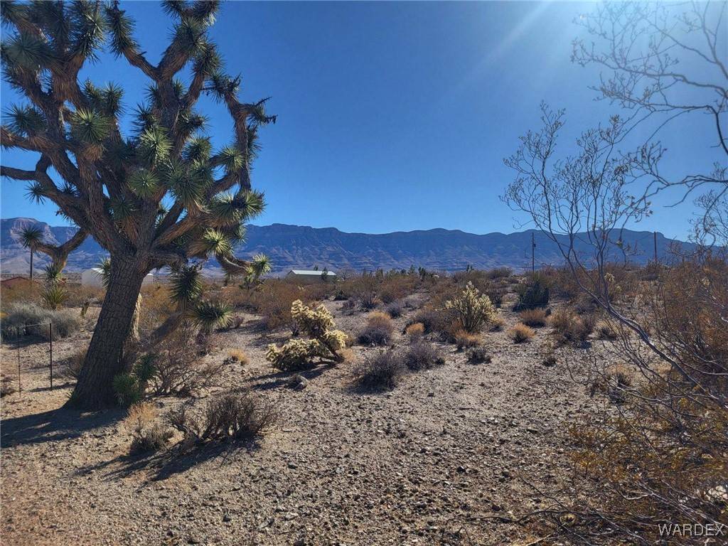 Meadview, AZ 86444,800 N Bright Angel DR